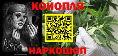 шишки Пугачёв