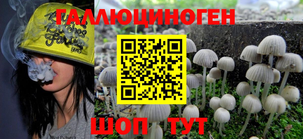 Похвистнево  магазин продажи наркотиков  Вход с VPN  Галлюциногенные грибы Psilocybine cubensis 