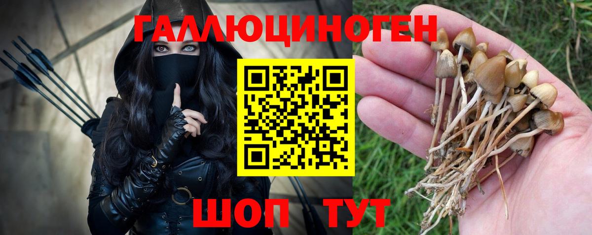 Псилоцибиновые грибы Psilocybe Похвистнево